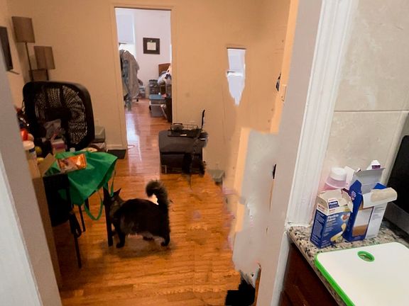 5th image of 79 Mott St #1