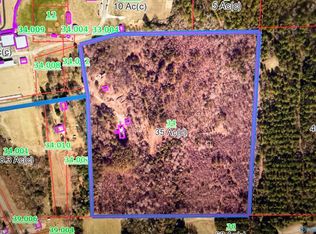 250 Wildcat St, Sand Rock, AL 35983