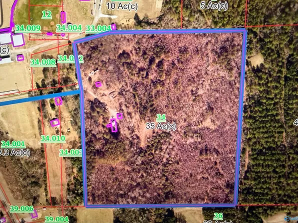 250 Wildcat St, Sand Rock, AL 35983