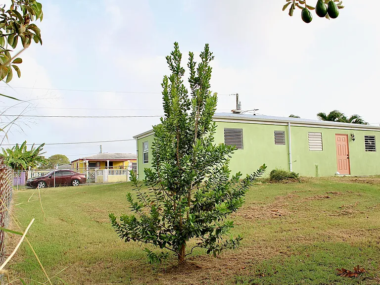 393 VI Corp Lands Pr — Photo 22