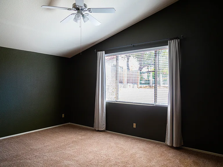 11146 N Desert Flower Dr — Photo 4