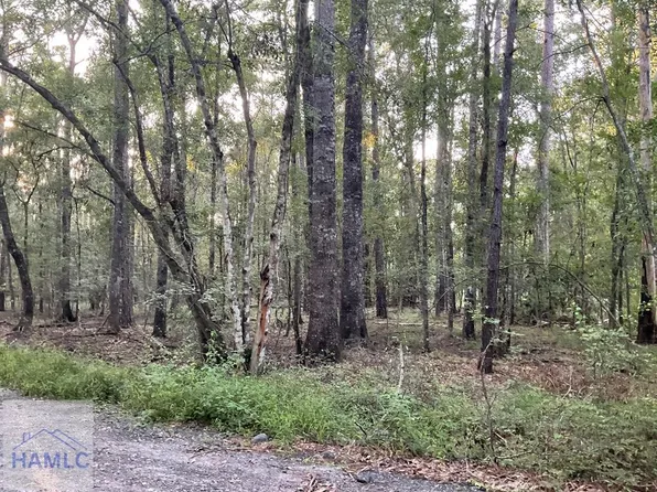 0 Cherry Ln, Fleming, GA 31309