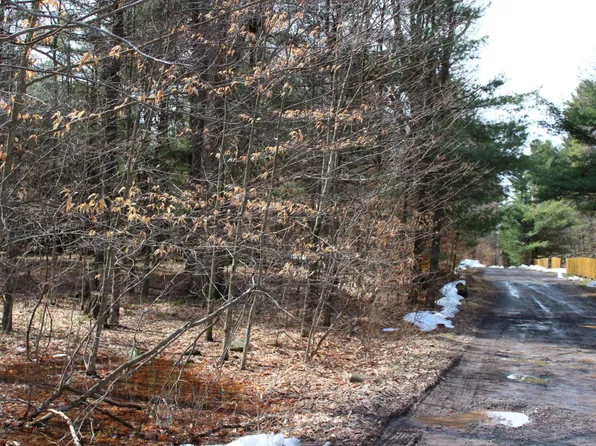 R Bear Lake Rd, Gouldsboro, PA 18424