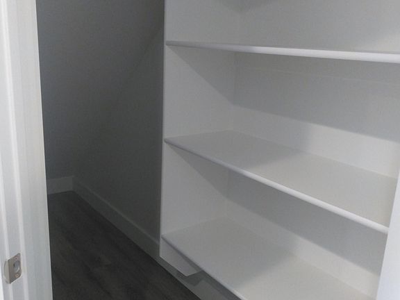 Pantry under stairs with built in shelving