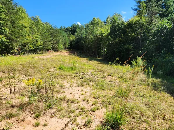 0 Cooks Knob Rd, Ferrum, VA 24088