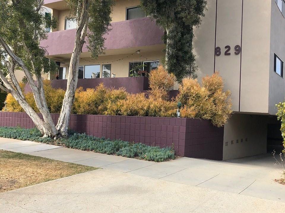 front of building steps from Montana