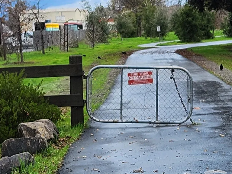 Elaine Dr — Photo 28