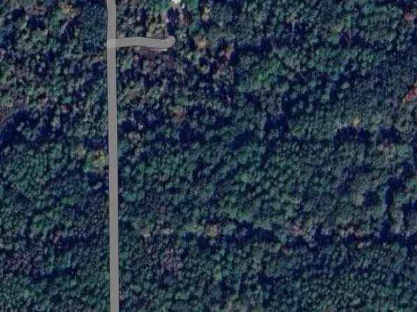 402 & 404 Siesta Dr, Georgetown, FL 32139