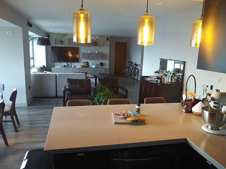 103 Avenue De Diego Gallery Plz #1506 — Photo 12