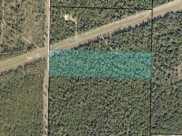 11768 Wildlife Rd, Holt, FL 32564