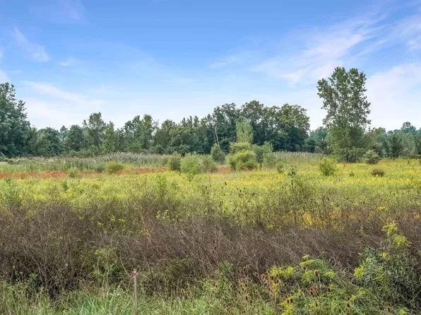 Marine City Hwy, Cottrellville, MI 48039