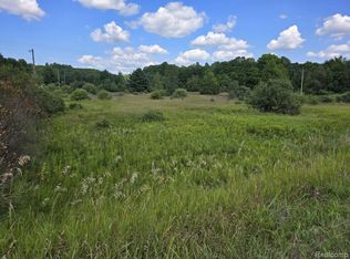 10922-11 Mile Rd, Bear Lake, MI 49614