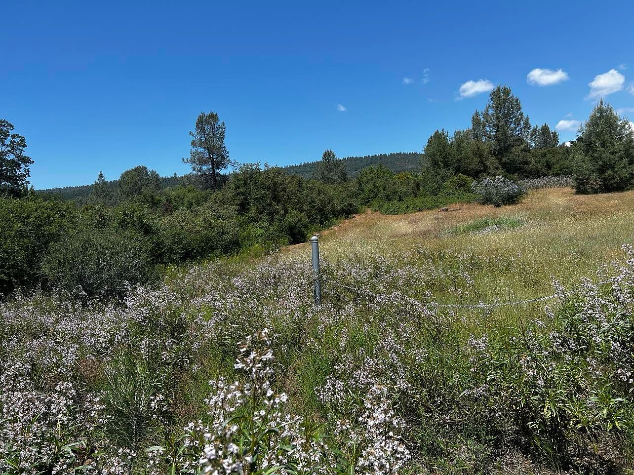 0 Battle View Dr, Manton, CA 96059 MLS 234133 Zillow