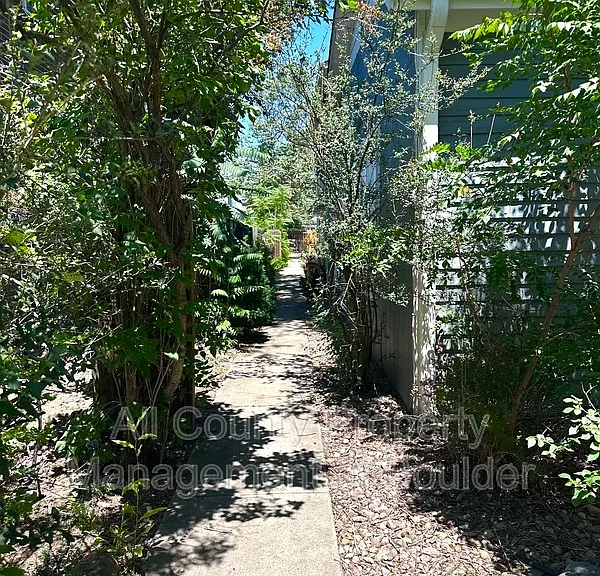 2211 Spruce St #3 — Photo 2