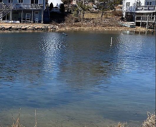 3rd image of 185 Edgewater Dr W