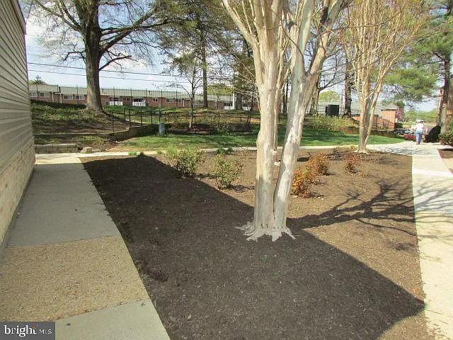 6310 Hil Mar Dr #9-11 — Photo 5