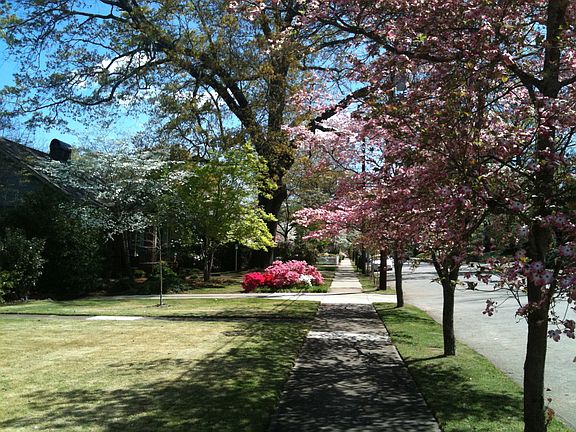 Spring in 5 Points