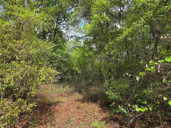 Lots 4 & 5 Nw Street Lot 2 #56, Chiefland, FL 32626