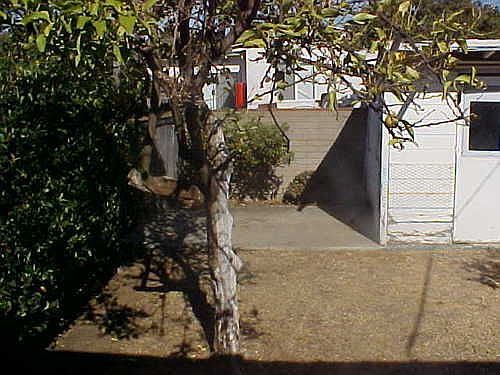 2nd image of 733-35 Woodlawn Ave