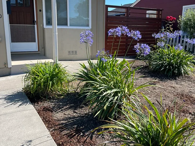 4730 Potrero Ave — Photo 1
