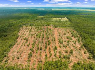 1628 Joe Dugger Rd, Freeport, FL 32439