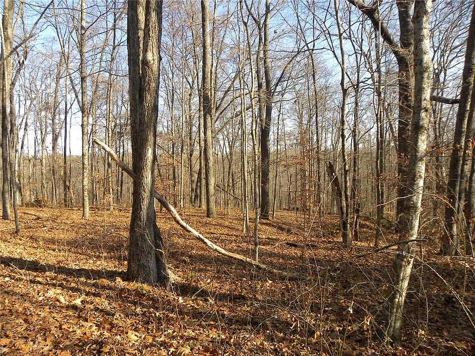 2nd image of 113 Hickory Knob Rd