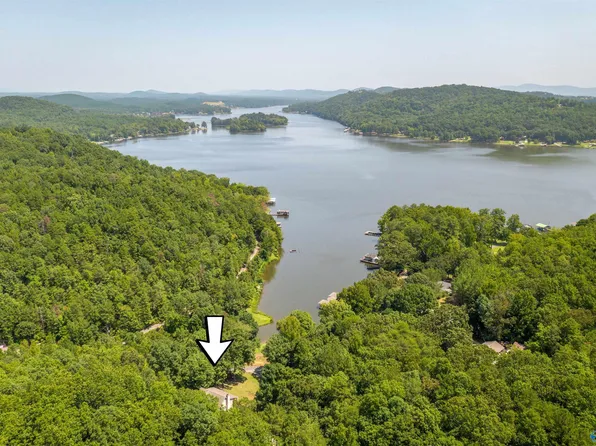 260 County Road 728, Cedar Bluff, AL 35959