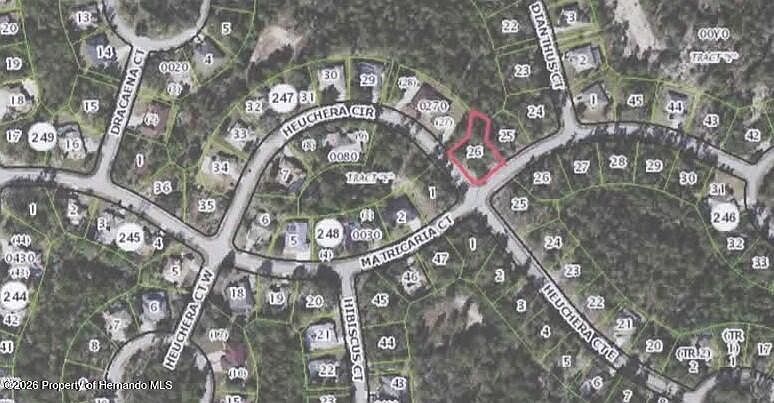 1st image of 25 Matricaria Ct