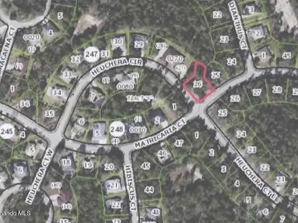 25 Matricaria Ct, Homosassa, FL 34446