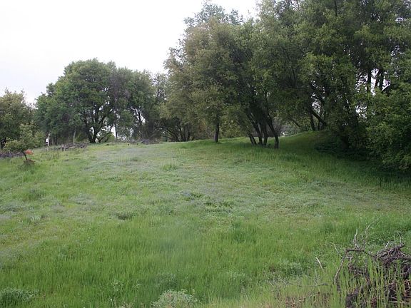 4th image of Live Oak Dr