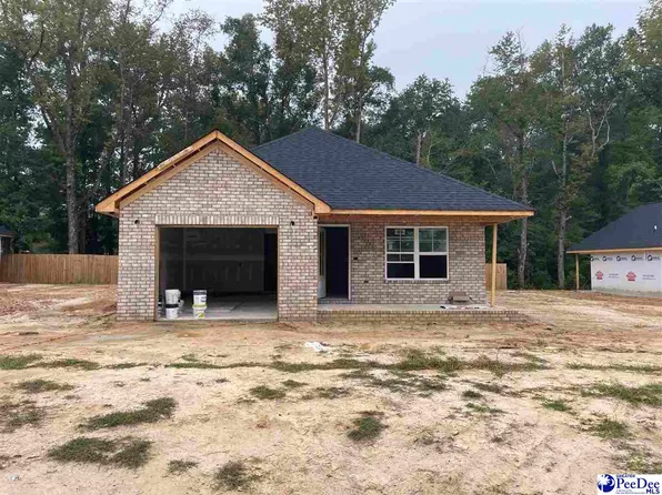 3268 Spiral Ln, Effingham, SC 29541