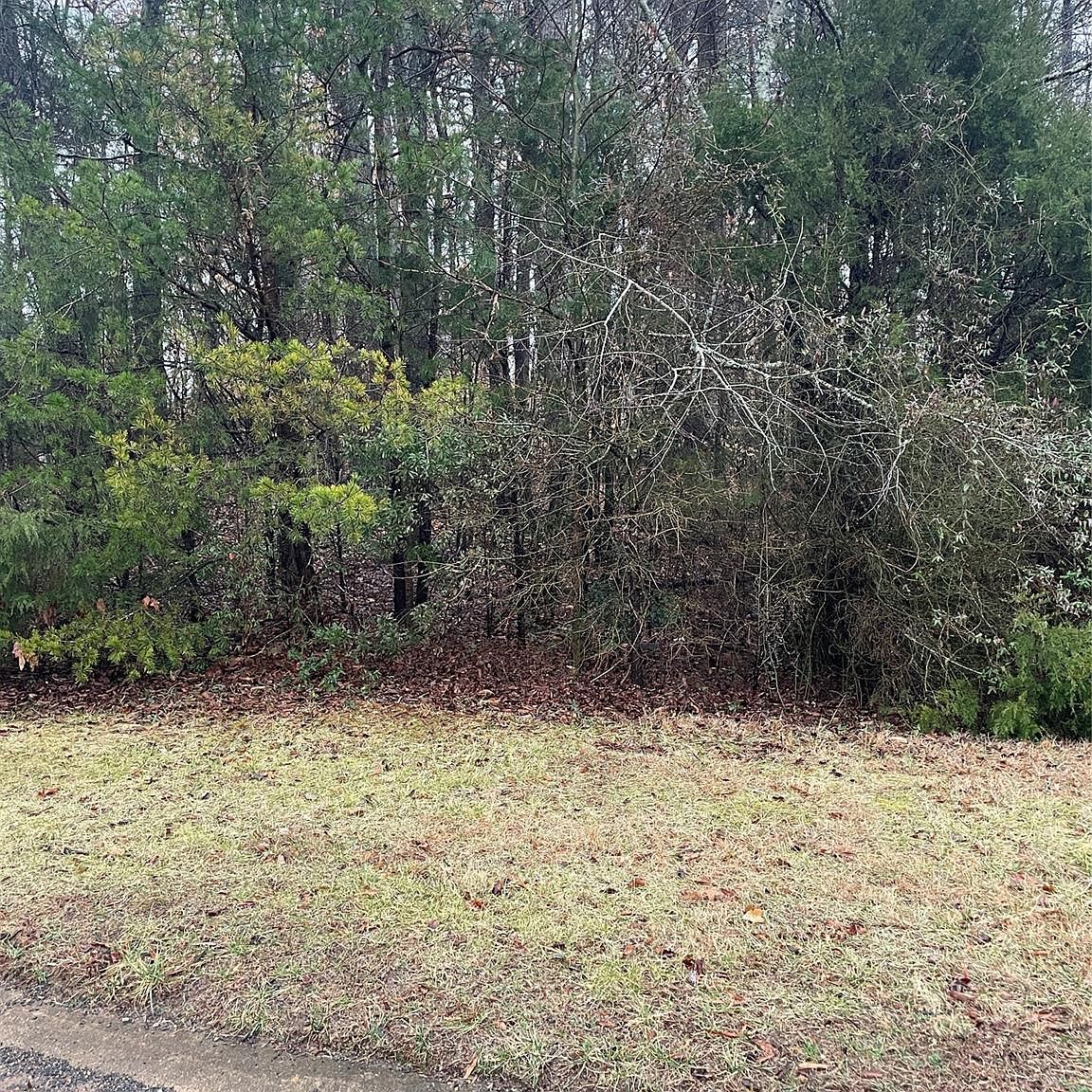 405 Laurel Valley Way