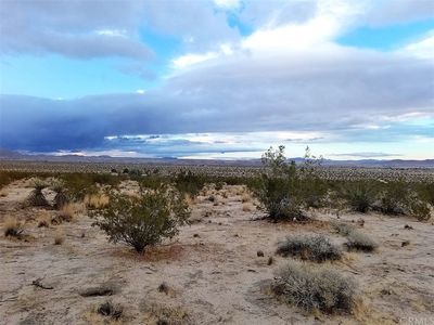 0 Cottonwood Dr, Joshua Tree, CA, 92252