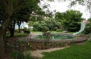 Huge Back Yard and Pool