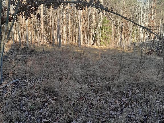 5th image of Meadow Ln