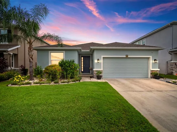 32747 Ansley Bloom Ln, Wesley Chapel, FL 33543