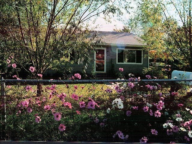 What a great garden!!