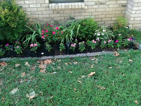 Established landscaping