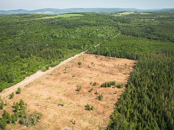 4th image of Alpine Ridge Rd Lot 4