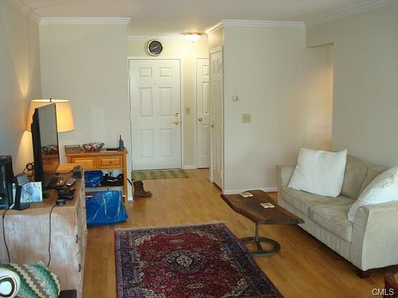 3rd image of 50 Aiken St APT 452
