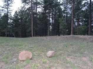 787 Skyline Dr, Woodland Park, CO 80863