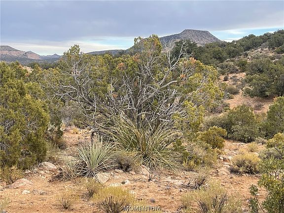 4th image of 254-26-001 Near Knight Creek Road