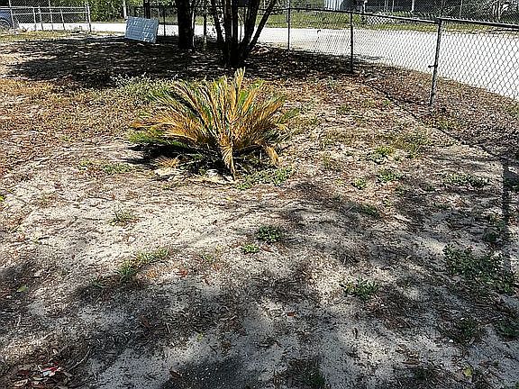 5th image of 34132 Hyatt Rd