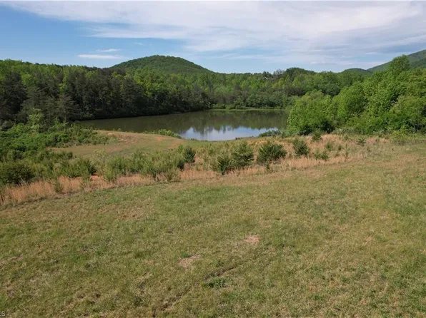 1155 Holly Grove Rd, Lambsburg, VA 24351