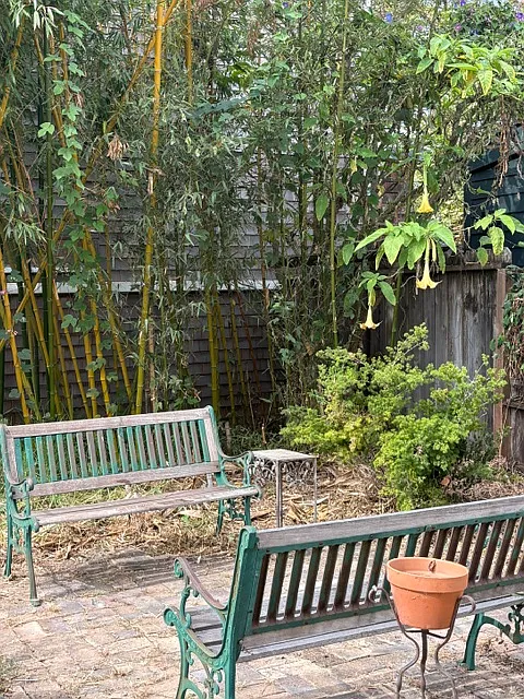 2 bed, 1200 sqft, $4,700 — Photo 4
