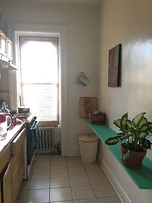 Rented by Rapid Realty Cobble Hill | media 60