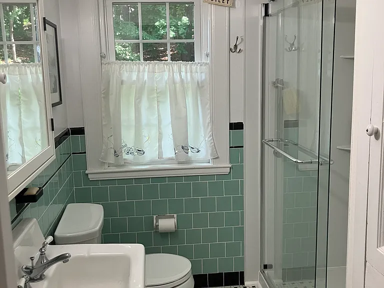 Downstairs bath--new walk-in shower!