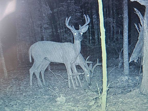 24th image of 0 Hollis Creek Rd S