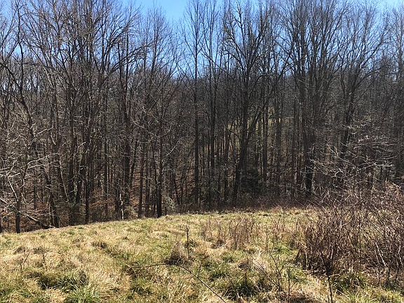 2nd image of 66 Crestwood Dr