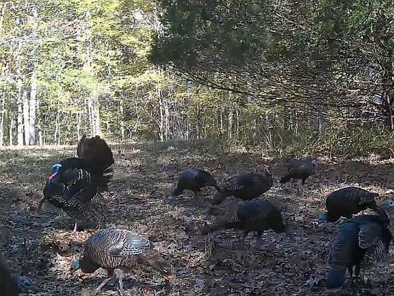 4th image of 3579 Bett Rd